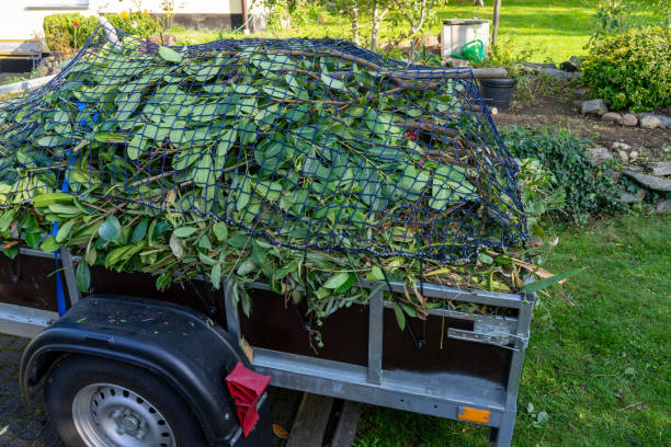 Best Carpet Removal and Disposal  in Shorewood Forest, IN